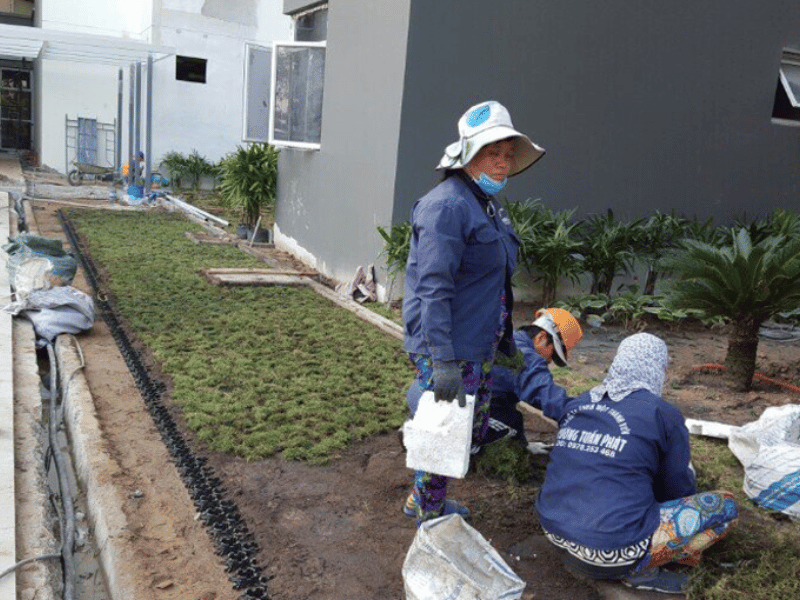 Price list for complete landscape design and construction