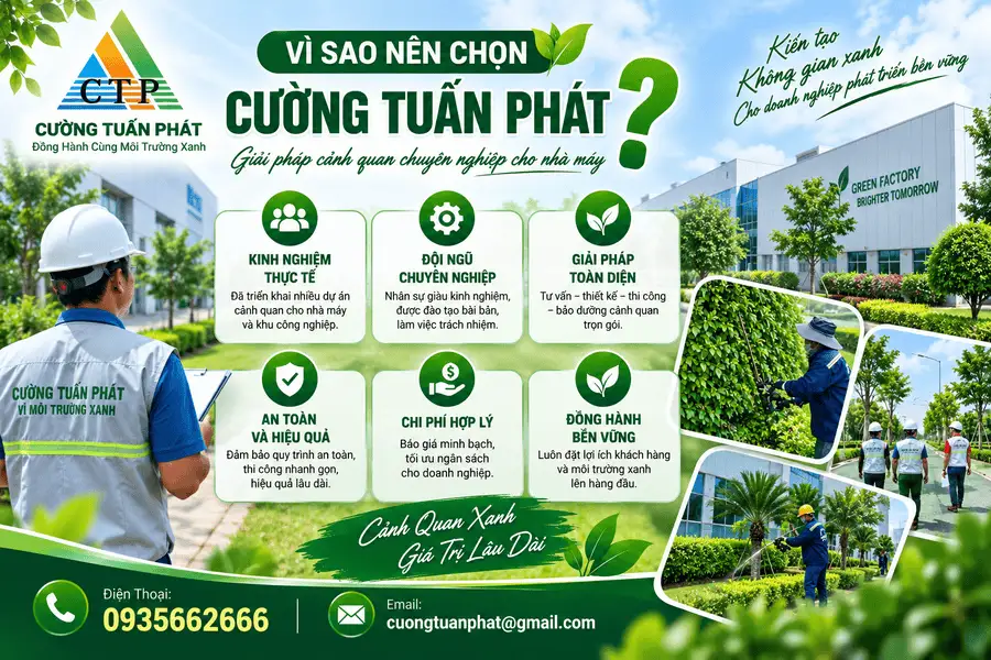 vi-sao-chon-ctp