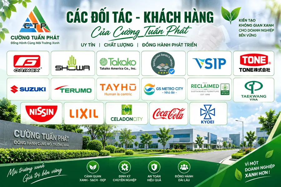 doi-tac-ctp