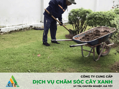 Dịch vụ chăm sóc cảnh quan chuyên nghiệp cho nhà máy
