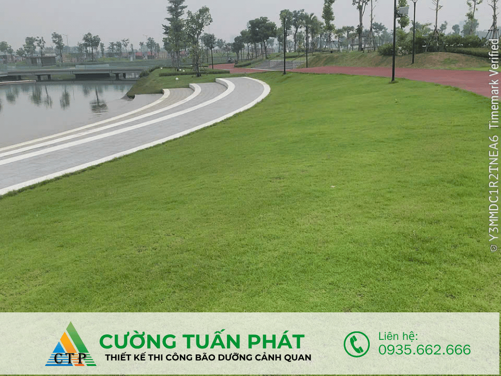 thi cong canh quan (14)
