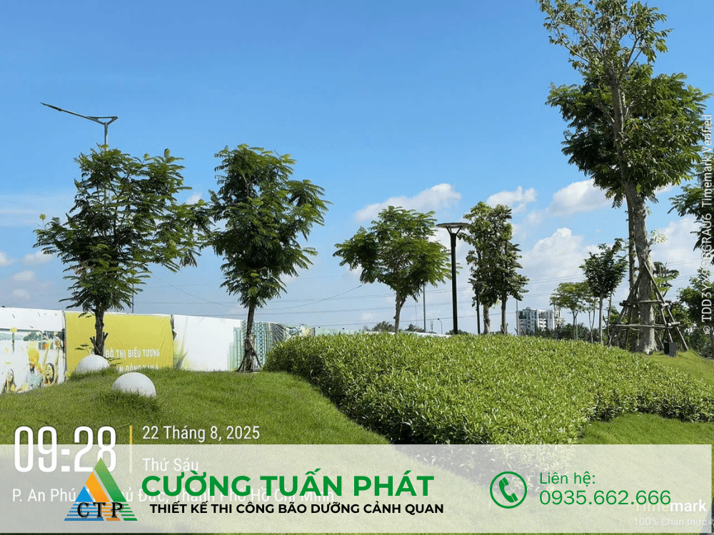 thi cong canh quan (15)