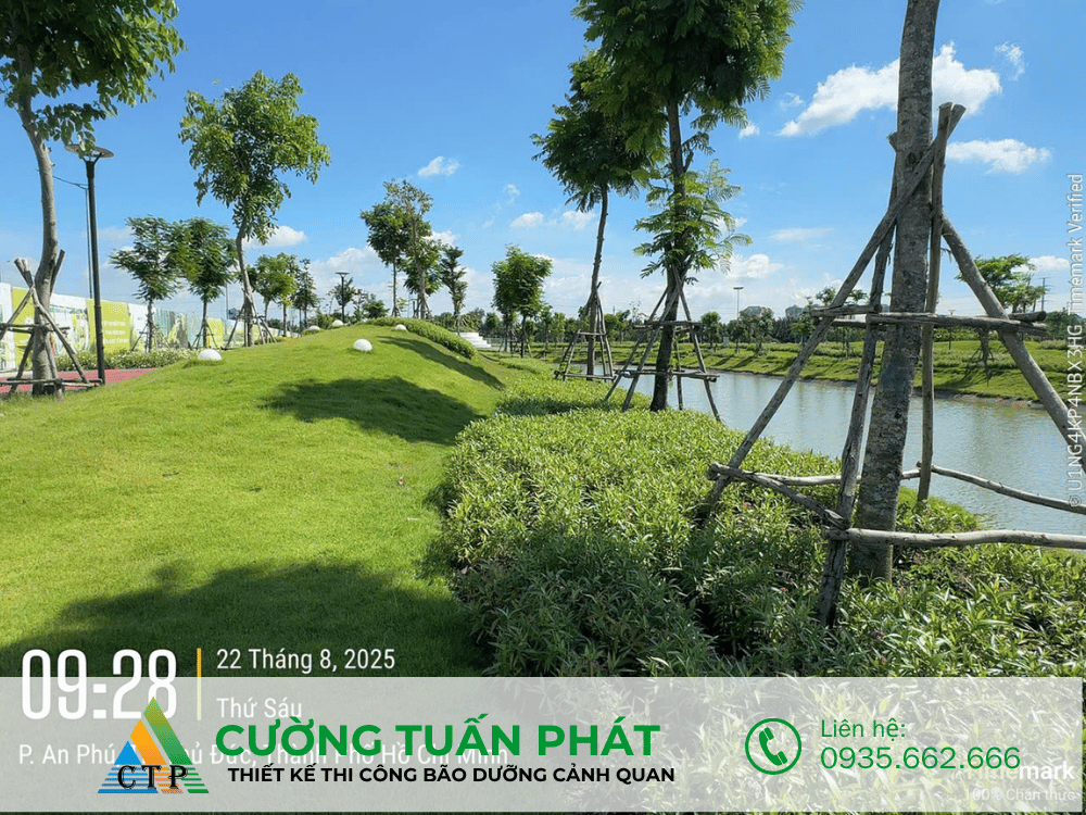 thi cong canh quan (20)