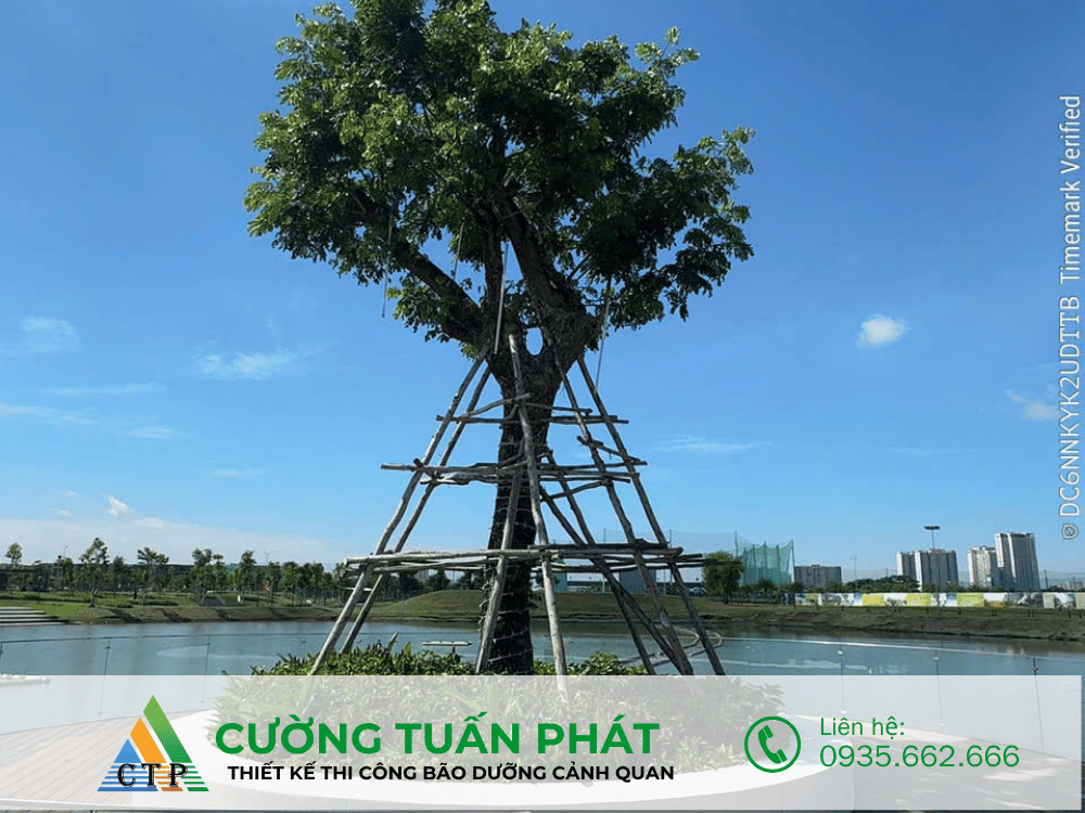 thi cong canh quan (21)