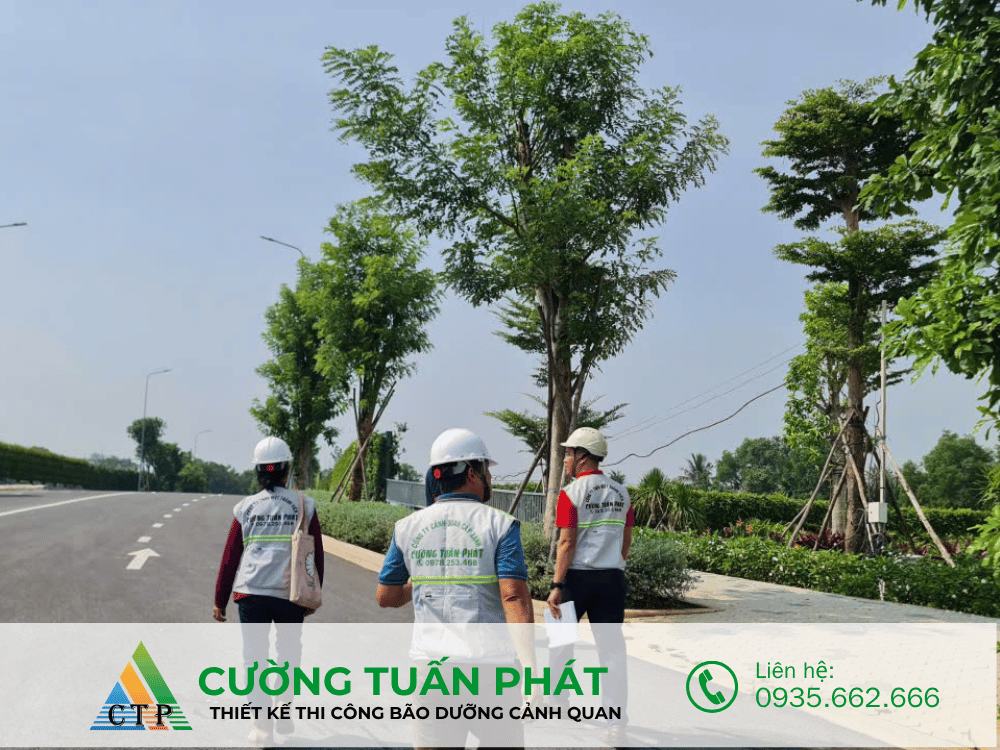 thi cong canh quan (22)