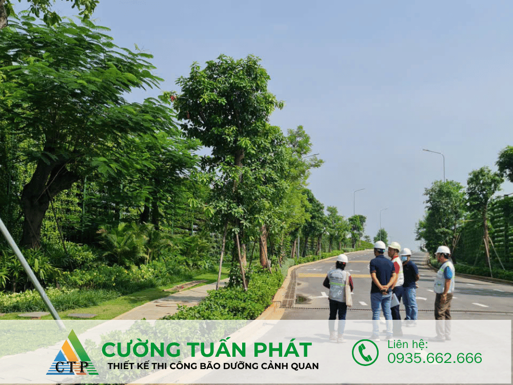 thi cong canh quan (28)