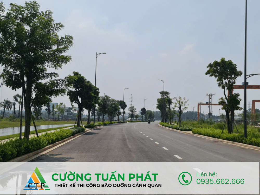 thi cong canh quan (29)