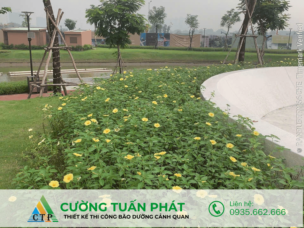 thi cong canh quan (3)