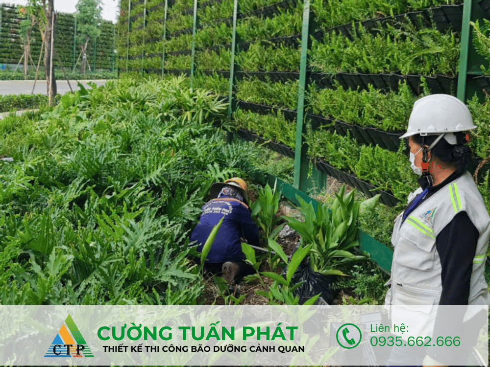 thi cong canh quan (31)