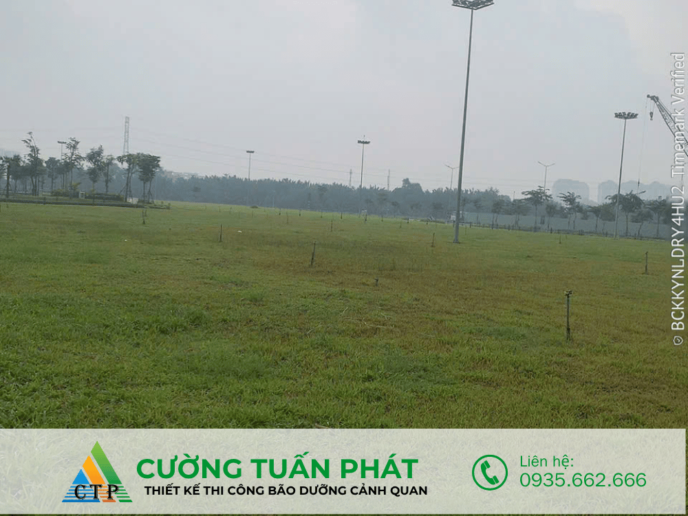 thi cong canh quan (4)