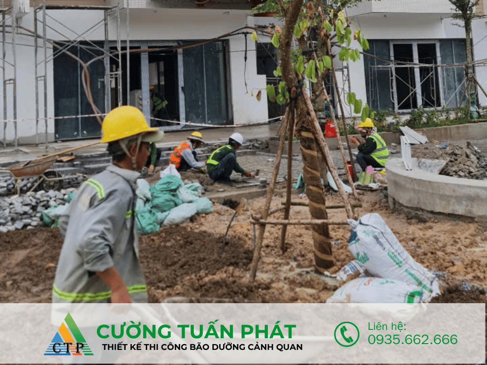 thi cong canh quan (42)