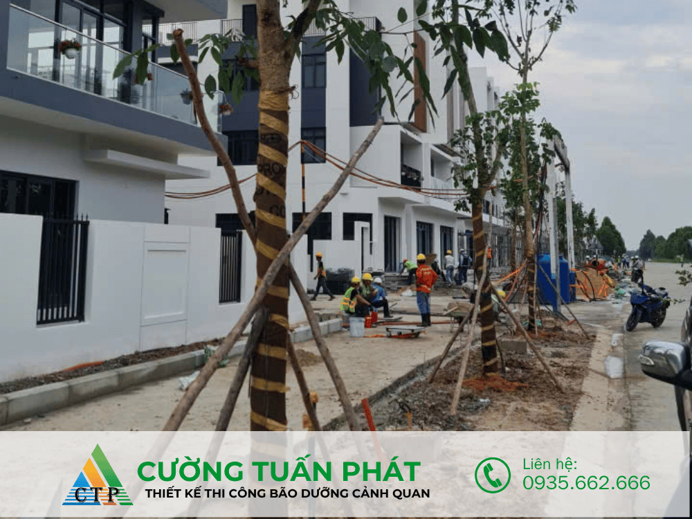 thi cong canh quan (44)