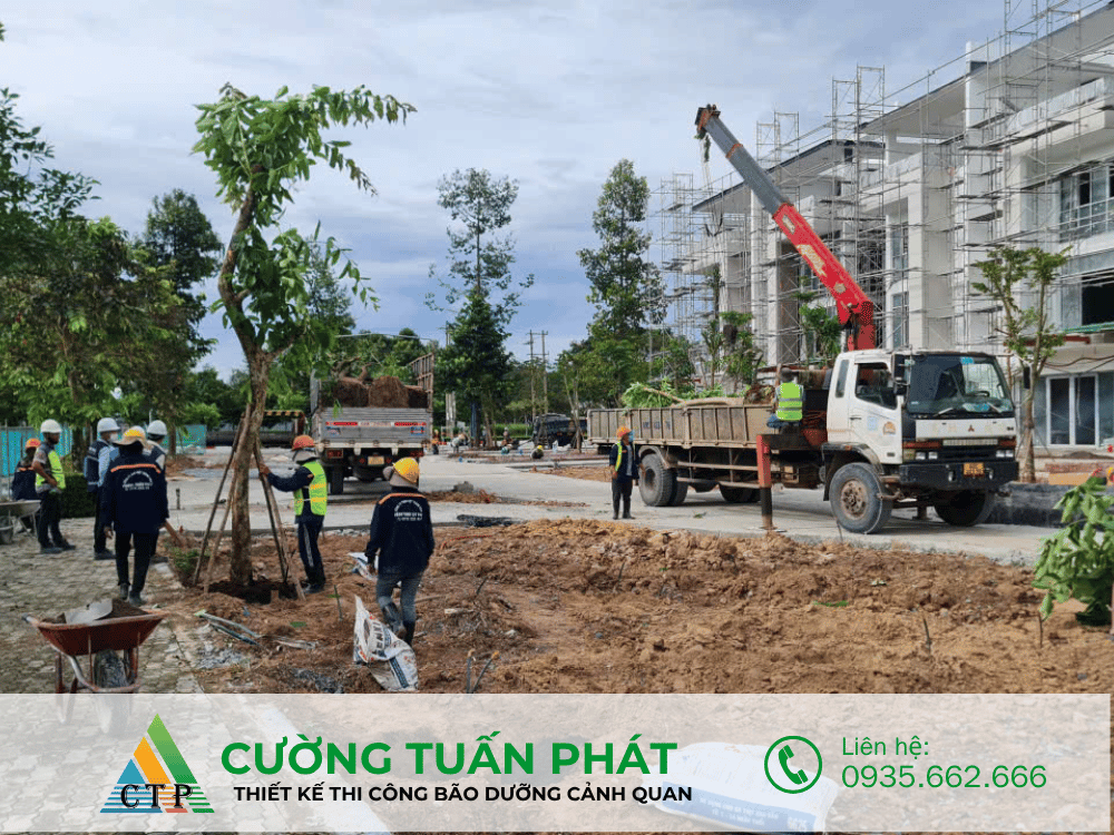 thi cong canh quan (45)