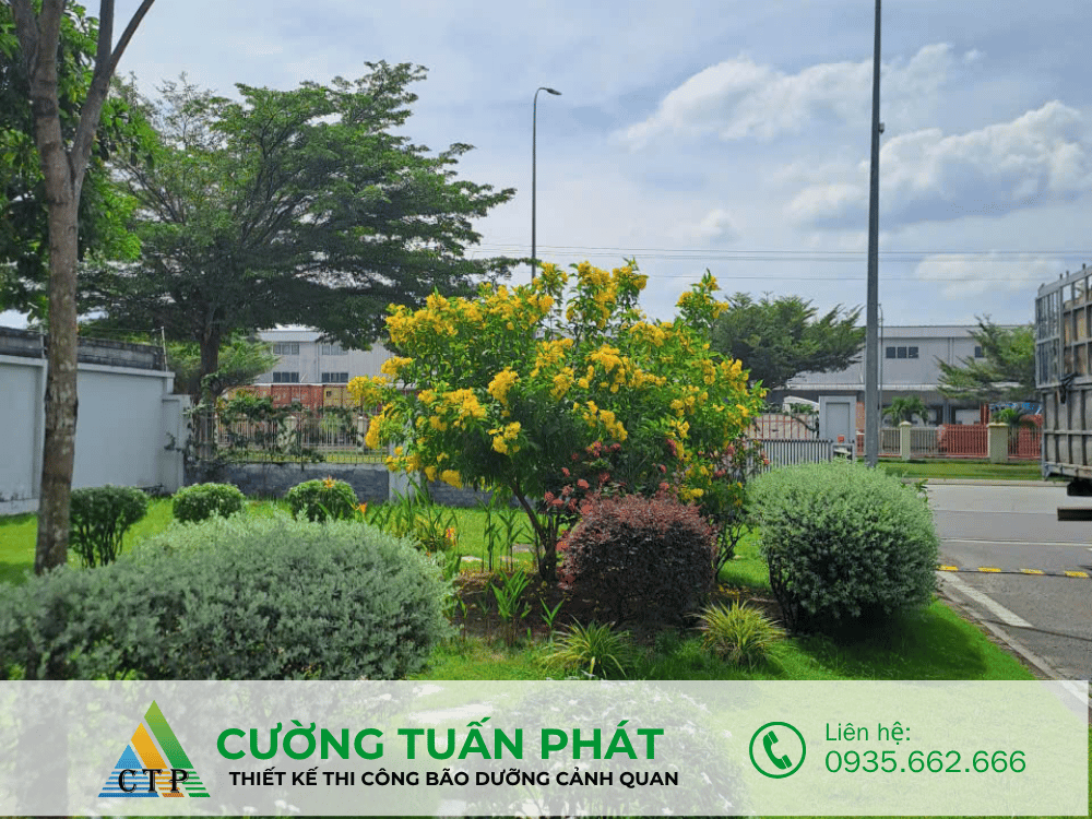 thi cong canh quan (48)