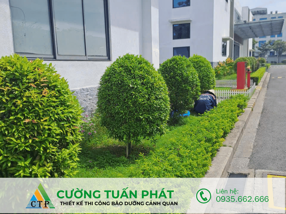 thi cong canh quan (49)