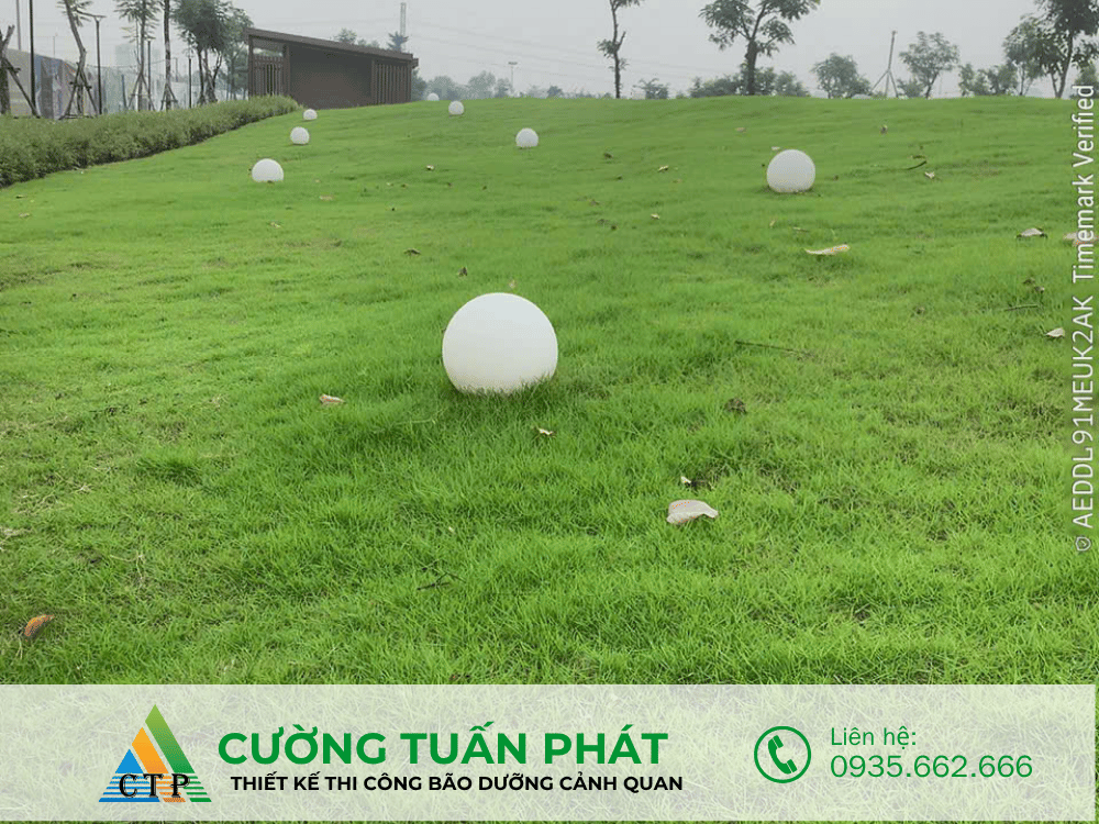 thi cong canh quan (5)