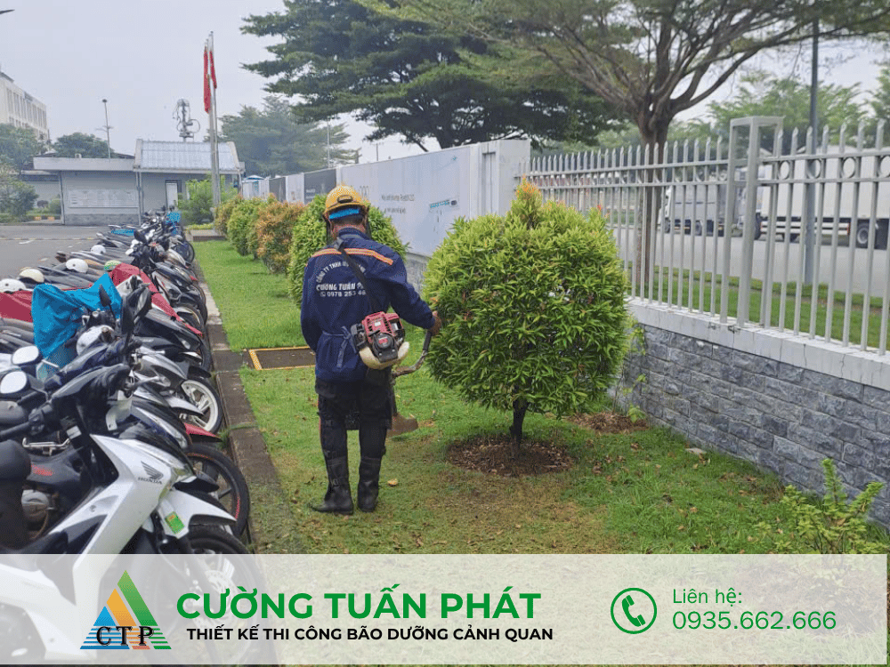 thi cong canh quan (50)