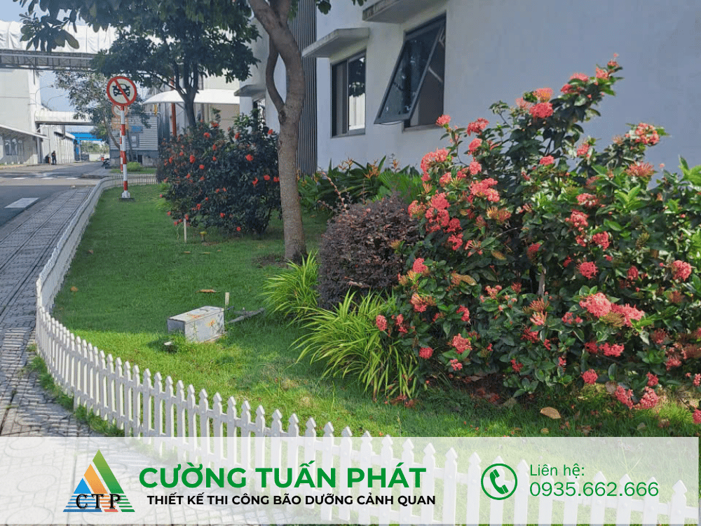 bảng báo giá thiết kế thi công cảnh quan sân vườn thi cong canh quan (57)