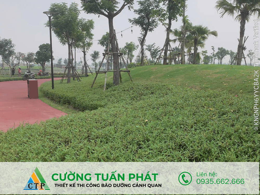 thi cong canh quan (7)