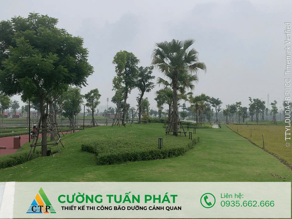 thi cong canh quan (8)