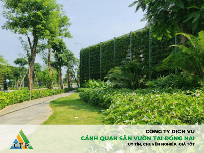 Dịch vụ thi công cảnh quan sân vườn tại Đồng Nai
