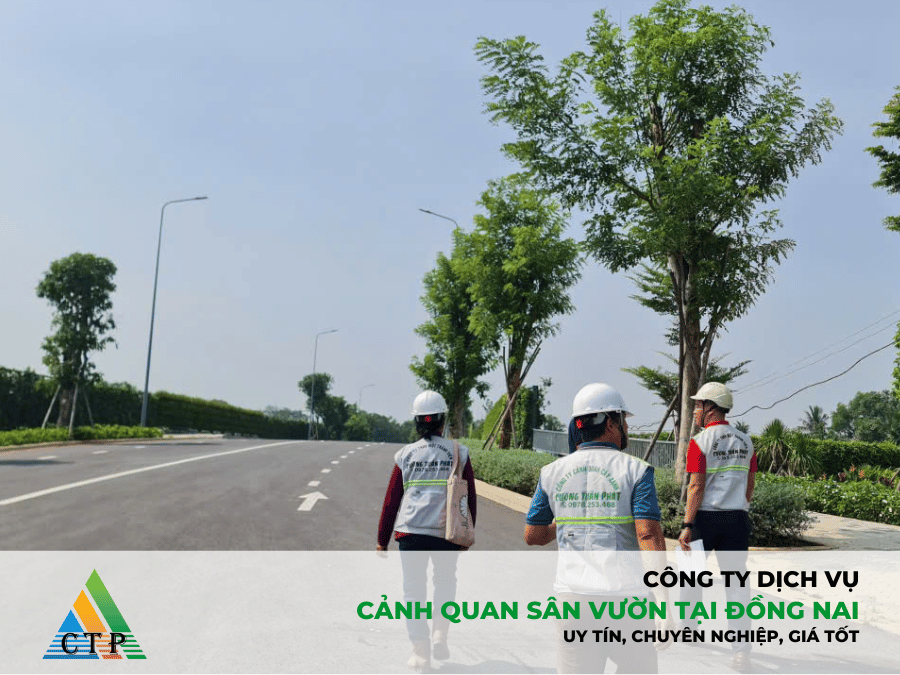 dich-vu-thi-cong-canh-quan-san-vuon
