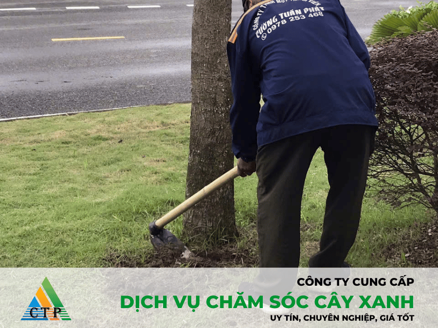 cham-soc-cay-xanh