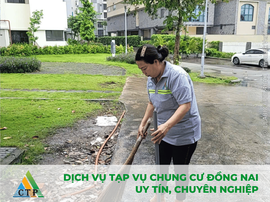 dich-vu-tap-vu-chung-cu-dong-nai-uy-tin dich-vu-tap-vu-chung-cu-dong-nai-uy-tin