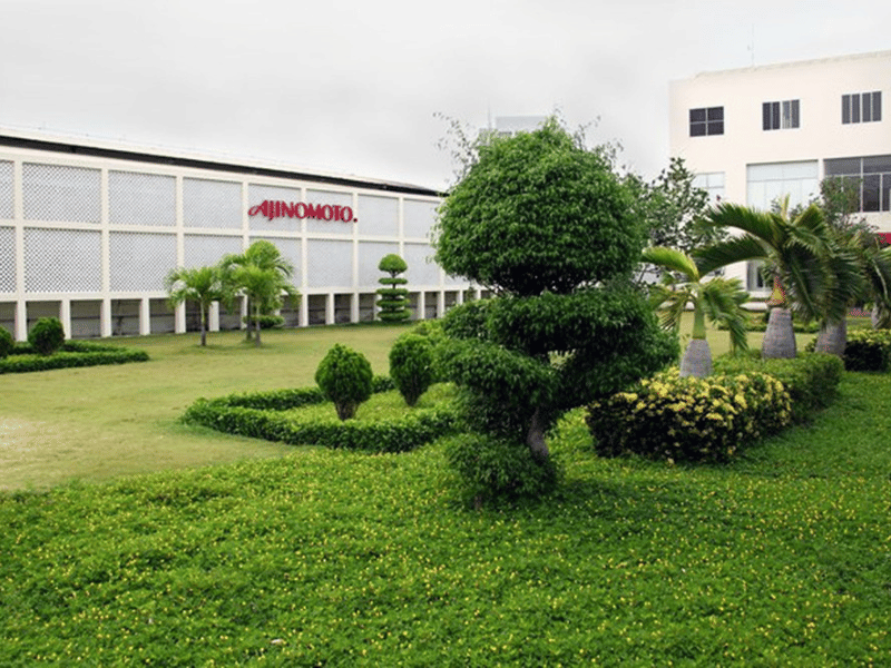 Công trình cây xanh Công Ty AJINOMOTO VIETNAM
