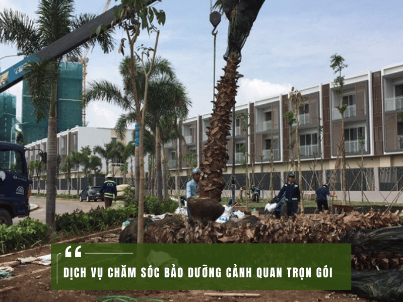 DỊCH VỤ CHĂM SÓC BẢO DƯỠNG CẢNH QUAN TRỌN GÓI